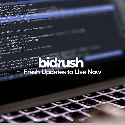 Latest BidRush Improvements: What’s New Now