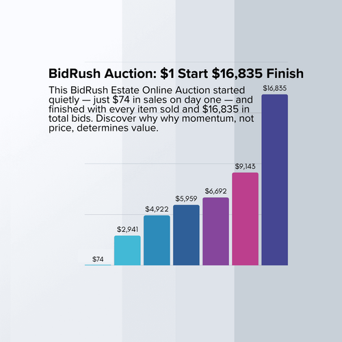 The Reason for a $1 Start on BidRush Auctions